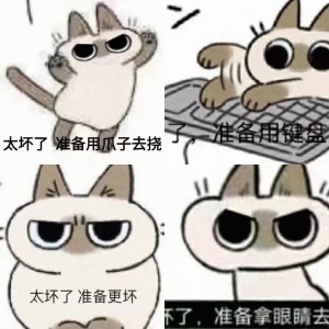 暹罗猫表情包