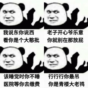 沙雕怼人熊猫头表情