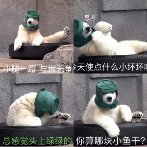 北极熊表情包