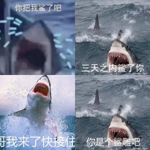 鲨鱼表情包系列