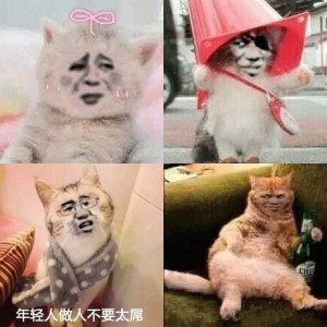 魔性变脸猫表情包系列