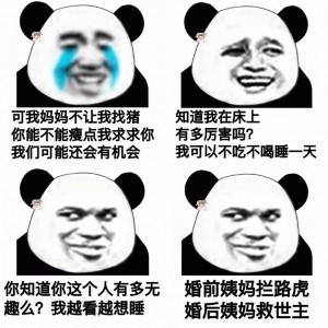 熊猫猫污污内涵表情包