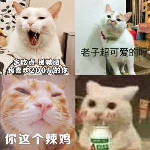 一组萌萌的猫咪表情包  吸猫(=^o^=) ​