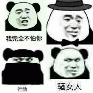 熊猫头斗图表情包 ​
