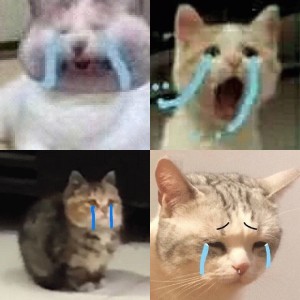 流泪猫猫头表情包