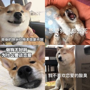 单身狗 doge 表情包系列