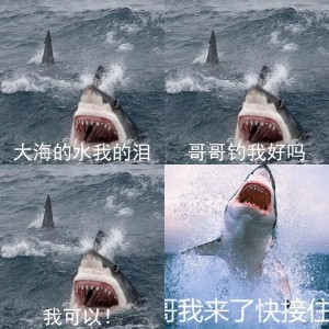 沙雕鲨鱼表情包系列