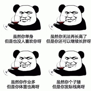 熊猫头安慰人毒舌表情包
