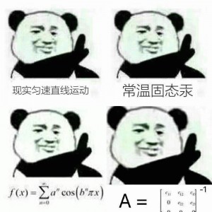 不存在的N种表达  熊猫头