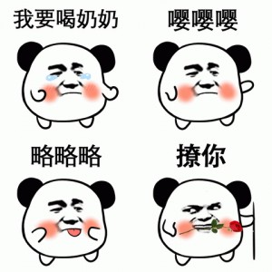小熊猫头斗图表情包 ​