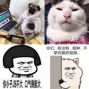 斗图表情精选 相关表情包,表情包专辑 - 求表情网,斗图从此不求人!