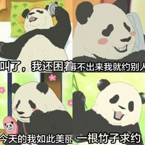 搞笑熊猫系列表情