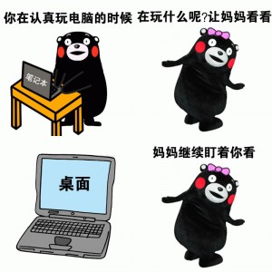 玩电脑（熊本熊）