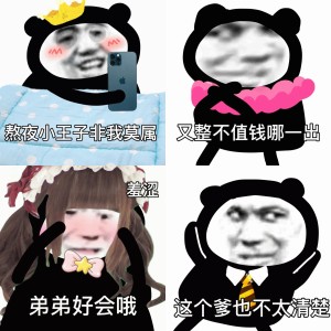 熊猫人语录表情包系列
