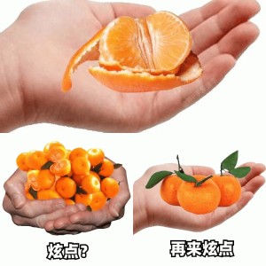 炫橘子