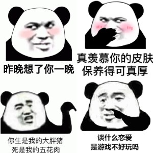 熊猫头搞笑系列