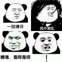经典熊猫头表情包