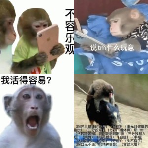 我的精神状态 一些猴子表情包