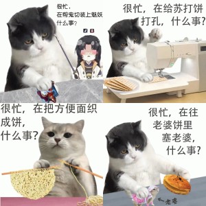 小猫很忙表情包：很忙，在把方便面织成饼，什么事？