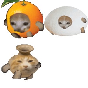 苹果猫香蕉猫橘子猫动态表情包