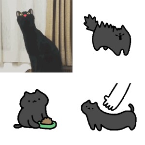 小黑猫煤球表情包