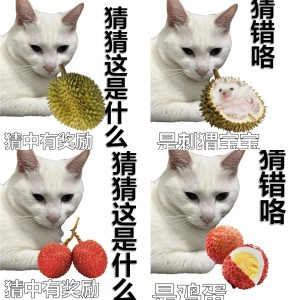 猫meme表情包猜猜是什么水果