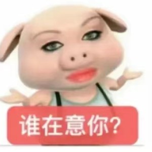 表情包：谁在意你？​