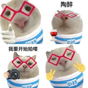 猫咪版小语k表情包