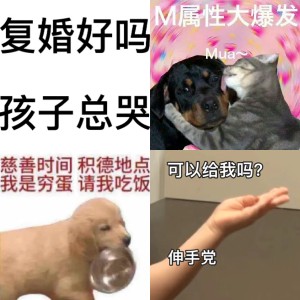 发疯文学