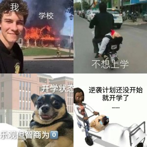 开学状态专用发疯表情包