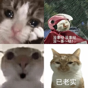 神经猫猫meme 没事哒搞笑表情包