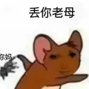龙图表情包：丢你老母相关表情包,表情包专辑 - 求表情网,斗图从此不求人!
