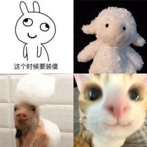 12个聊天装傻专用表情包相关表情包,表情包专辑 - 求表情网,斗图从此不求人!