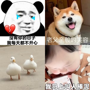 美女在吗 wechat一下 | 超赞的表情包 ୭