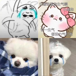 流泪猫猫头：那种感觉又上来了，很难过又很难说 全是委屈表情包表情包图片gif动图 - 求表情网,斗图从此不求人!