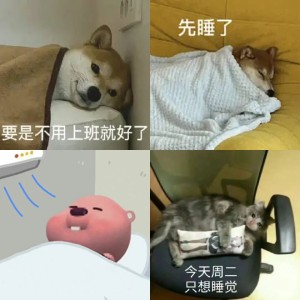 睡觉表情包|遇到困难睡大觉 相关表情包,表情包专辑 - 求表情网,斗图从此不求人!