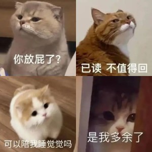 小猫表情包 | 你放屁了？ ​​​