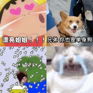 15个你们绝对喜欢的表情包动图gif 相关表情包,表情包专辑 - 求表情网,斗图从此不求人!