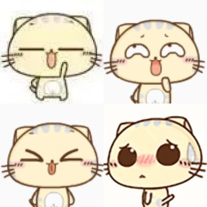 cc猫表情包 | 快乐到起飞相关表情包,表情包专辑 - 求表情网,斗图从此不求人!