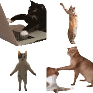 可爱暹罗猫侧身坐，呆萌模样尽显可爱俏皮 猫meme表情包｜量大管饱表情包图片gif动图 - 求表情网,斗图从此不求人!