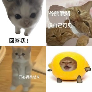 回答我表情包|那我问你,回答我!相关专辑列表 - 求表情网,斗图从此不求人!