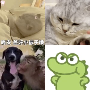 只有沙雕表情包才符合我的气质！