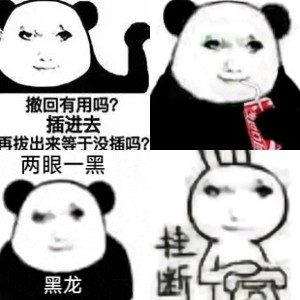 龙图表情包:插进去 拔出来等于没插吗相关表情包,表情包专辑 - 求表情网,斗图从此不求人!