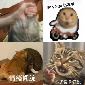 可爱猫咪的无奈：想抱抱你，可我胖胖的肚子会先顶到你 表情包：go go go 出发喽表情包图片gif动图 - 求表情网,斗图从此不求人!