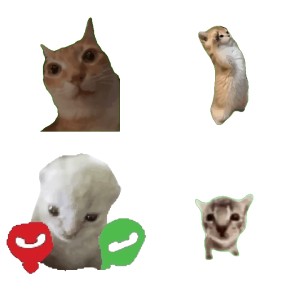抽象可爱猫meme表情包相关表情包,表情包专辑 - 求表情网,斗图从此不求人!
