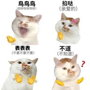 连读表情包 | 中国人有自己的连读技巧 相关表情包,表情包专辑 - 求表情网,斗图从此不求人!