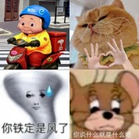 收到 收到表情包合集大全 可爱萌物收到消息的惊讶模样,尽显呆萌可爱表情包图片gif动图 - 求表情网,斗图从此不求人!