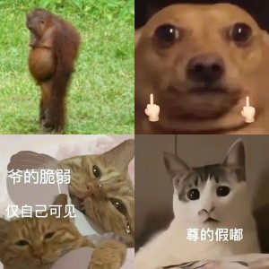 发来表情包相关专辑列表 - 求表情网,斗图从此不求人!