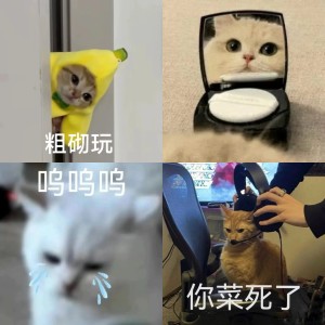 表情包：是时候忘本了 相关表情包,表情包专辑 - 求表情网,斗图从此不求人!