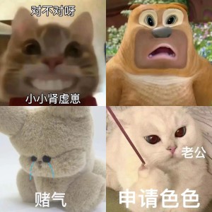 你的拳不够快更不够狠表情包相关专辑列表 - 求表情网,斗图从此不求人!